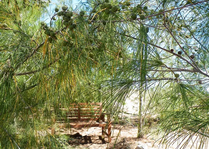Fuerteventura Fantastica Vistas Al Mar Piscina Climatizada * 타라할레호