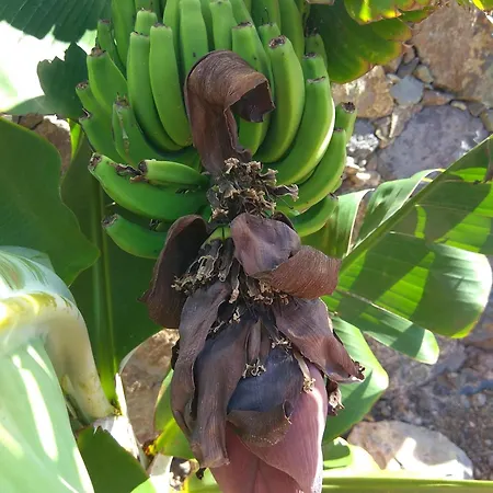 Fuerteventura Fantastica Vistas Al Mar Piscina Climatizada فيلة