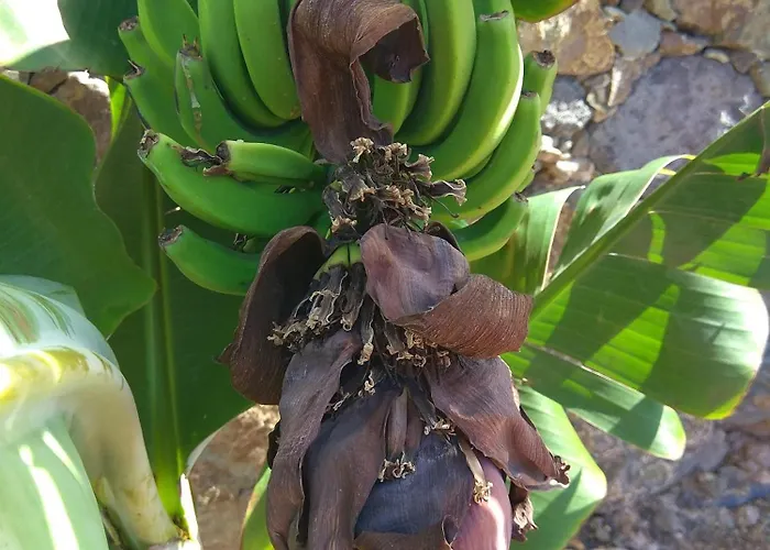 Fuerteventura Fantástica Vistas Al Mar Piscina Climatizada Villa